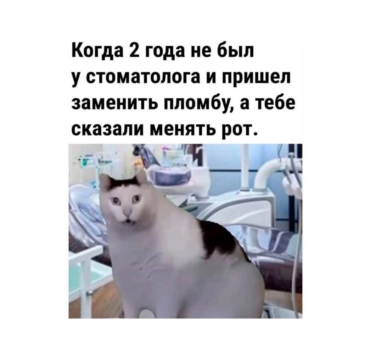 Минутка на посмеяться 🫣 | Сетка — новая социальная сеть от hh.ru