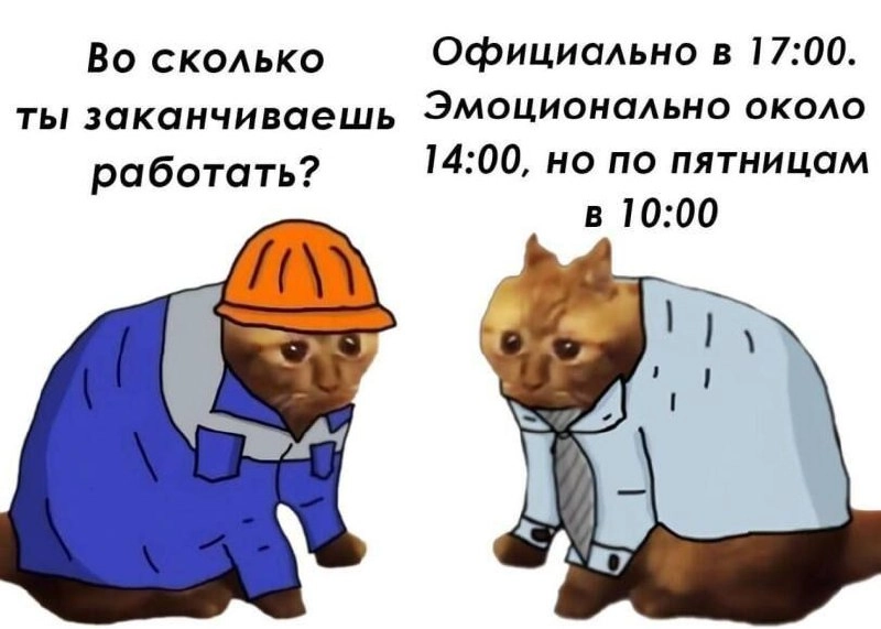 Пятничка, не перерабатываем сегодня 🥂 | Сетка — новая социальная сеть от hh.ru