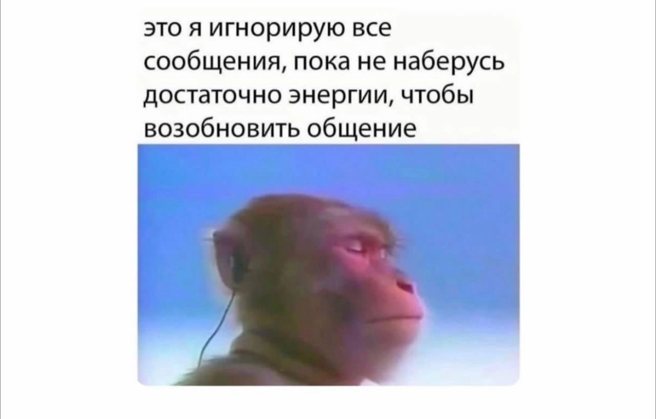 Ну пятница же! | Сетка — новая социальная сеть от hh.ru