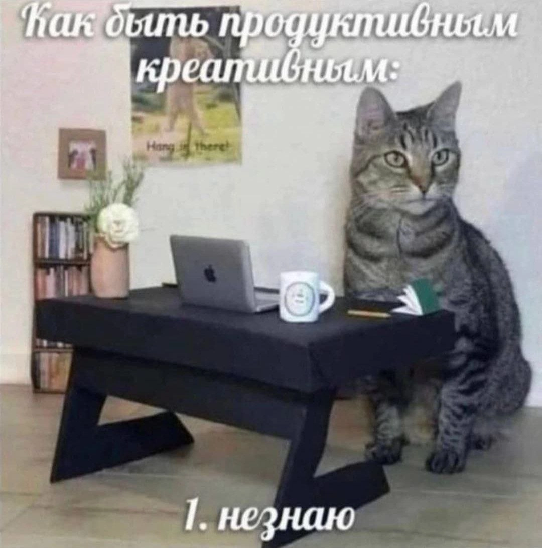 Лучше не вставать с кровати 🫤 | Сетка — новая социальная сеть от hh.ru
