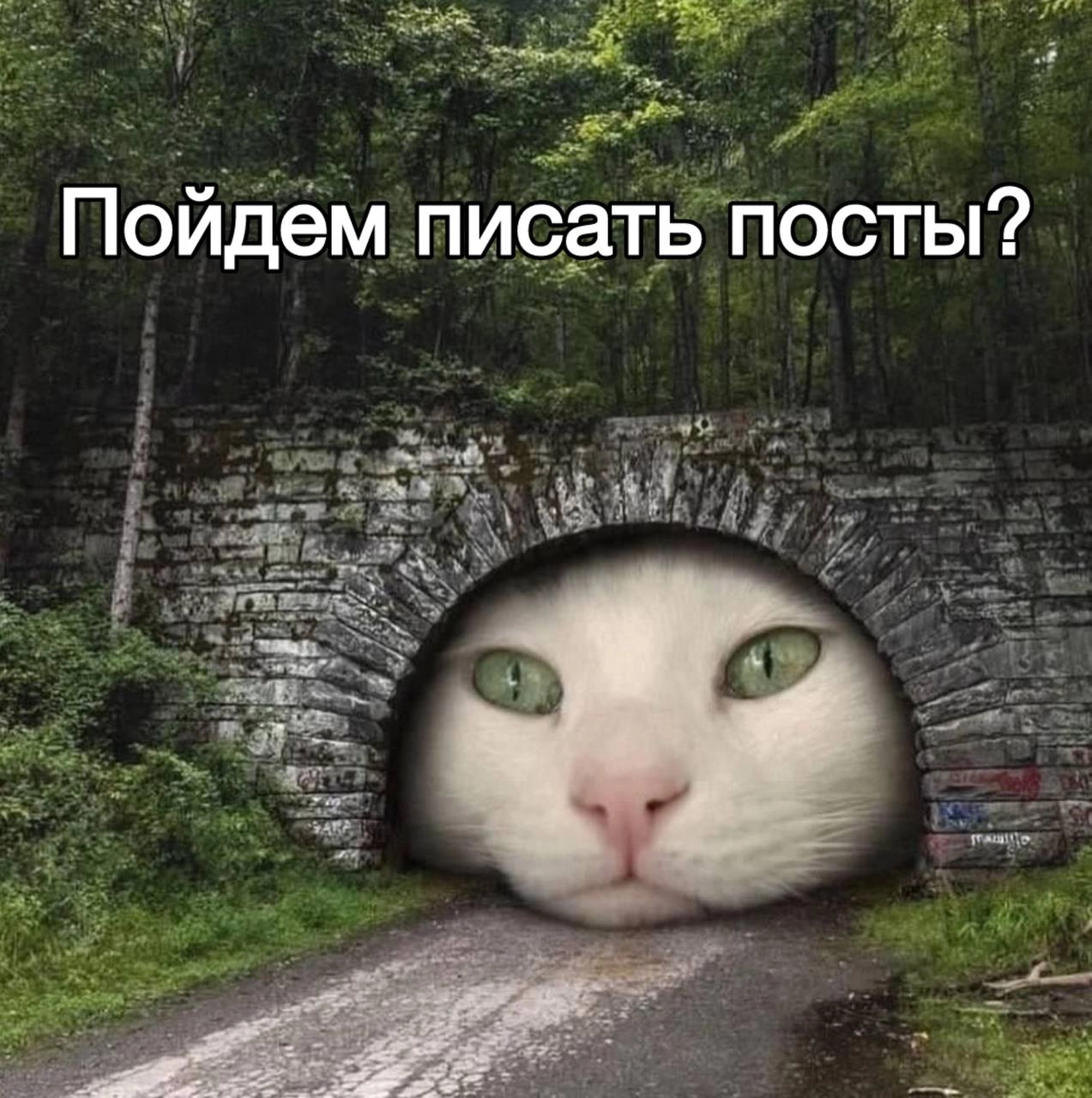 📝 Ищем SMM-щика в кибербезопасность
Кто ещё не знает, я с июня прошлого года работаю км-ом в BI.ZONE, одной из топовых компаний по кибербезопасности в России | Сетка — новая социальная сеть от hh.ru