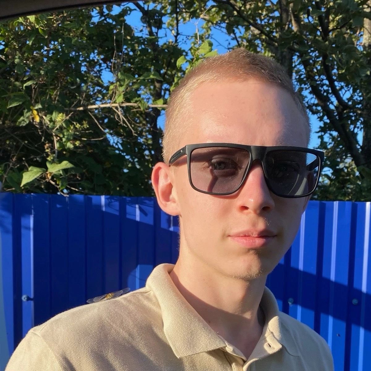 profile avatar