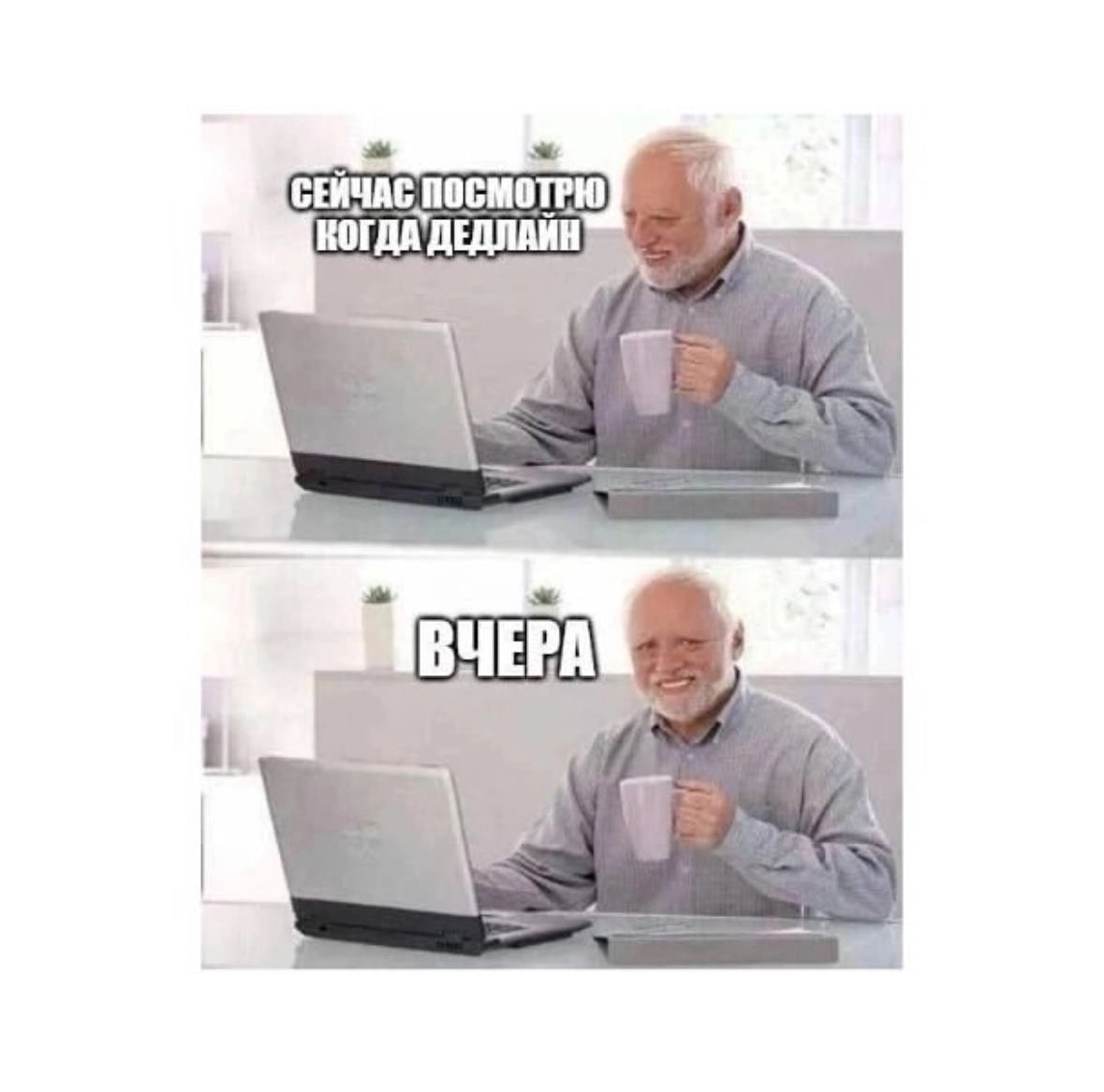 Традиционный легальный просмотр мемов на работе 😉 | Сетка — новая социальная сеть от hh.ru