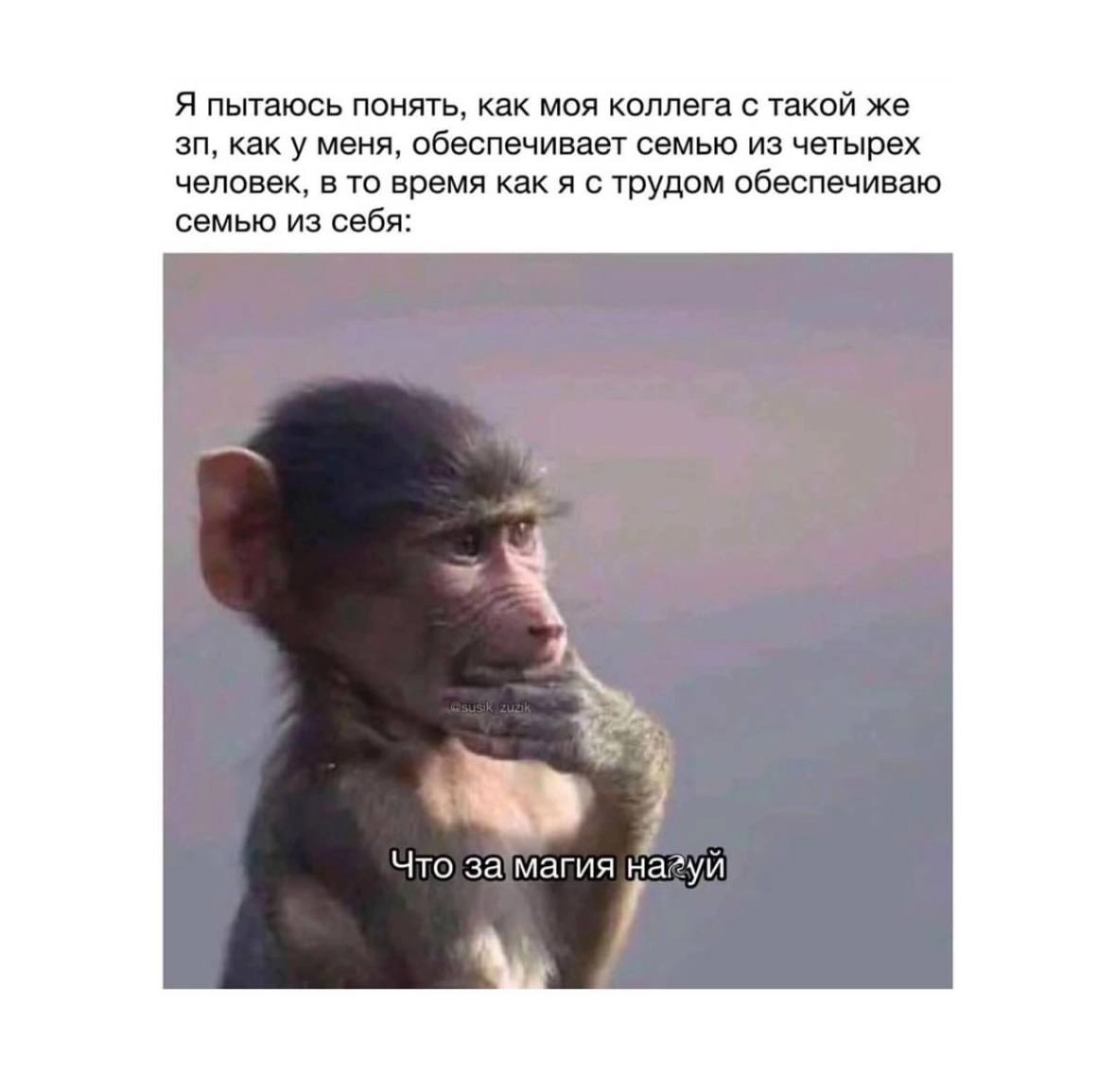Традиционный легальный просмотр мемов на работе 😉 | Сетка — новая социальная сеть от hh.ru