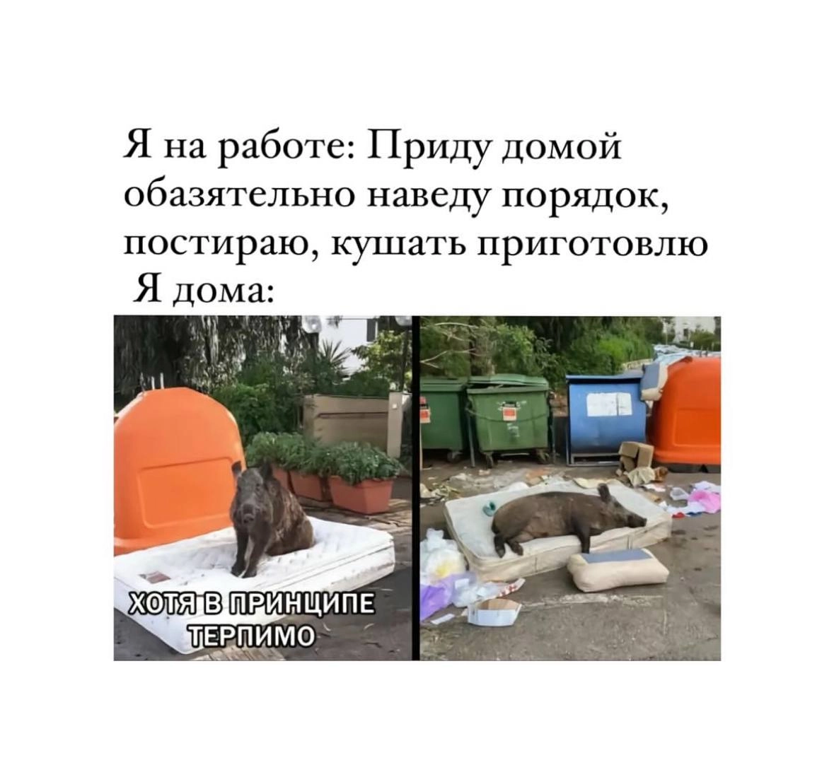 Традиционный легальный просмотр мемов на работе 😉 | Сетка — новая социальная сеть от hh.ru