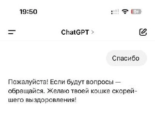 Давненько мы с вами не виделись, но вот вам немного лирики: AI (ИИ), алгоритмы, без разницы как правильно, начали закрывать и эмоциональный запрос пользователей | Сетка — новая социальная сеть от hh.ru