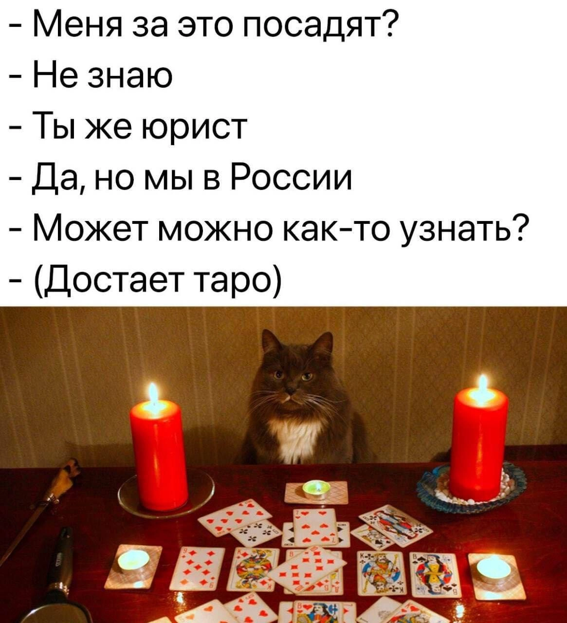 Новые реалии такие нынче | Сетка — новая социальная сеть от hh.ru