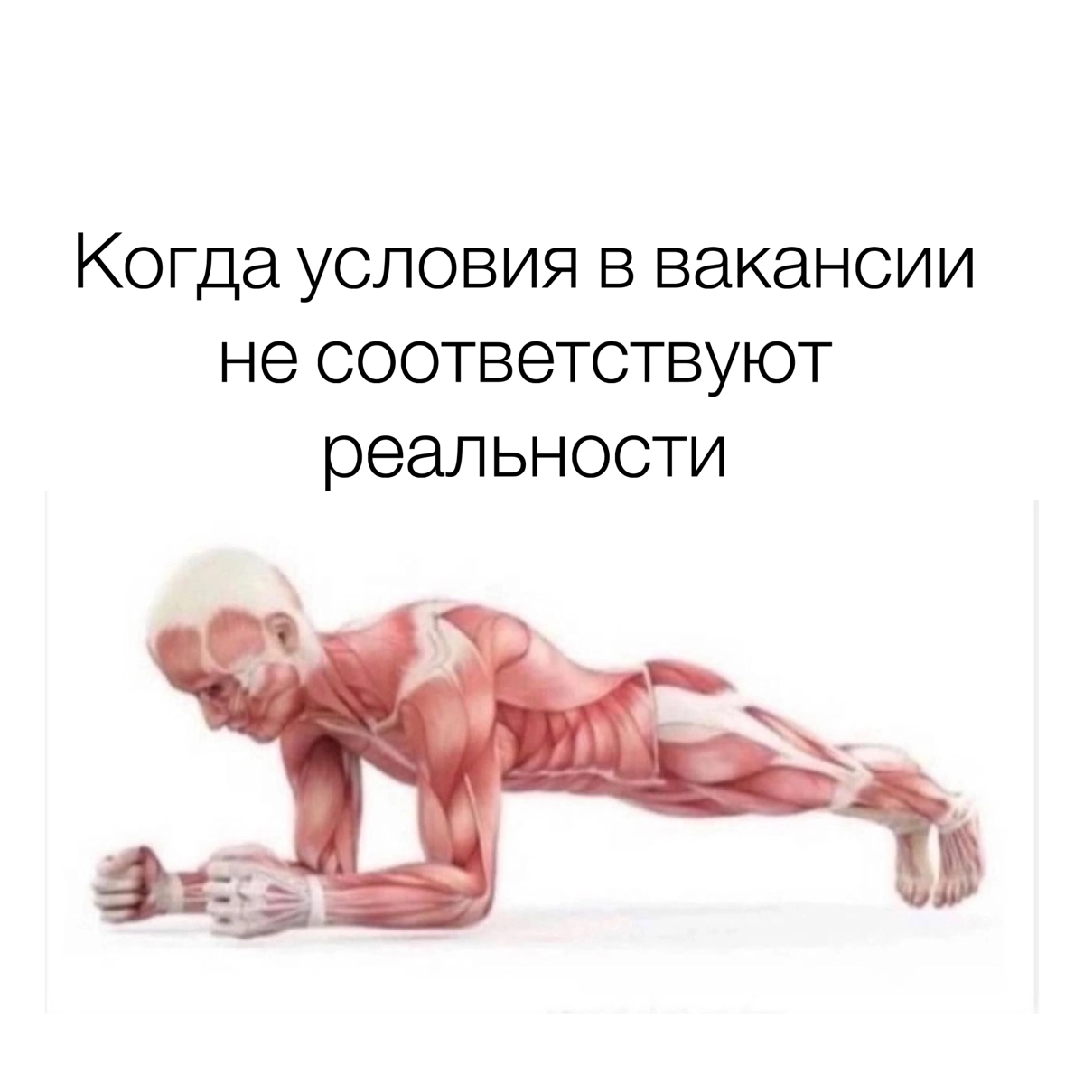 Субботний обмен мемами
P.s. Дорогие HR-ы, про кандидатов тоже будут мемы, но они в понедельник | Сетка — новая социальная сеть от hh.ru