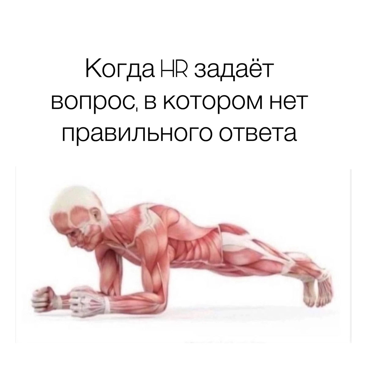 Субботний обмен мемами
P.s. Дорогие HR-ы, про кандидатов тоже будут мемы, но они в понедельник | Сетка — новая социальная сеть от hh.ru