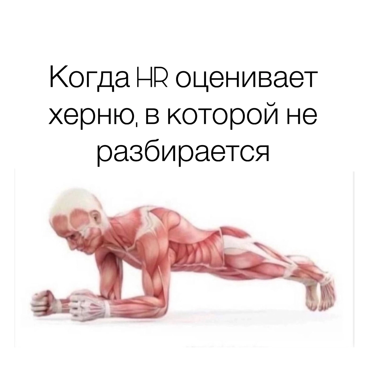 Субботний обмен мемами
P.s. Дорогие HR-ы, про кандидатов тоже будут мемы, но они в понедельник | Сетка — новая социальная сеть от hh.ru