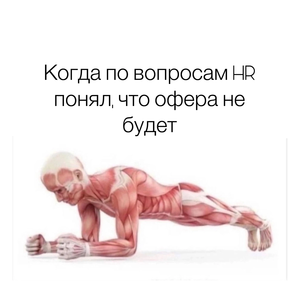 Субботний обмен мемами
P.s. Дорогие HR-ы, про кандидатов тоже будут мемы, но они в понедельник | Сетка — новая социальная сеть от hh.ru