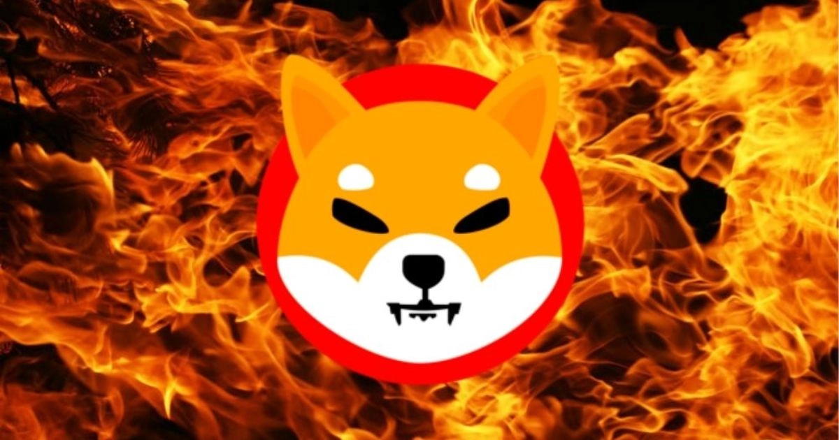 Разработчики Shiba Inu изобрели новый способ сжигания криптовалюты | Сетка — новая социальная сеть от hh.ru