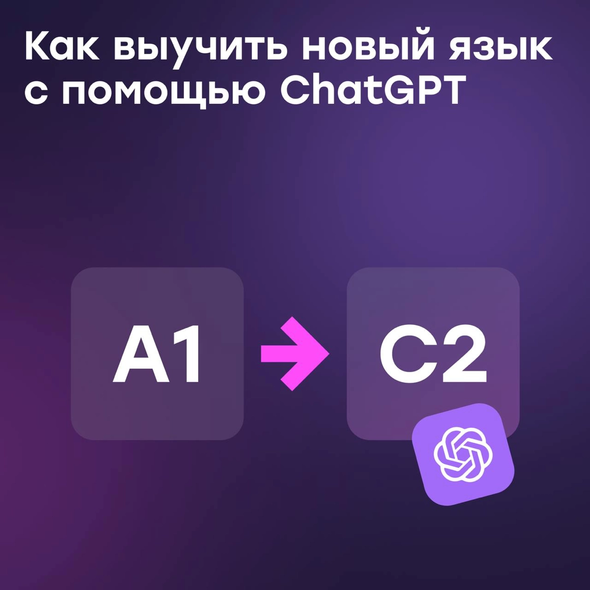 Сова Дуо? Нет, спасибо. Я выбираю учить язык с ChatGPT | Сетка — новая социальная сеть от hh.ru