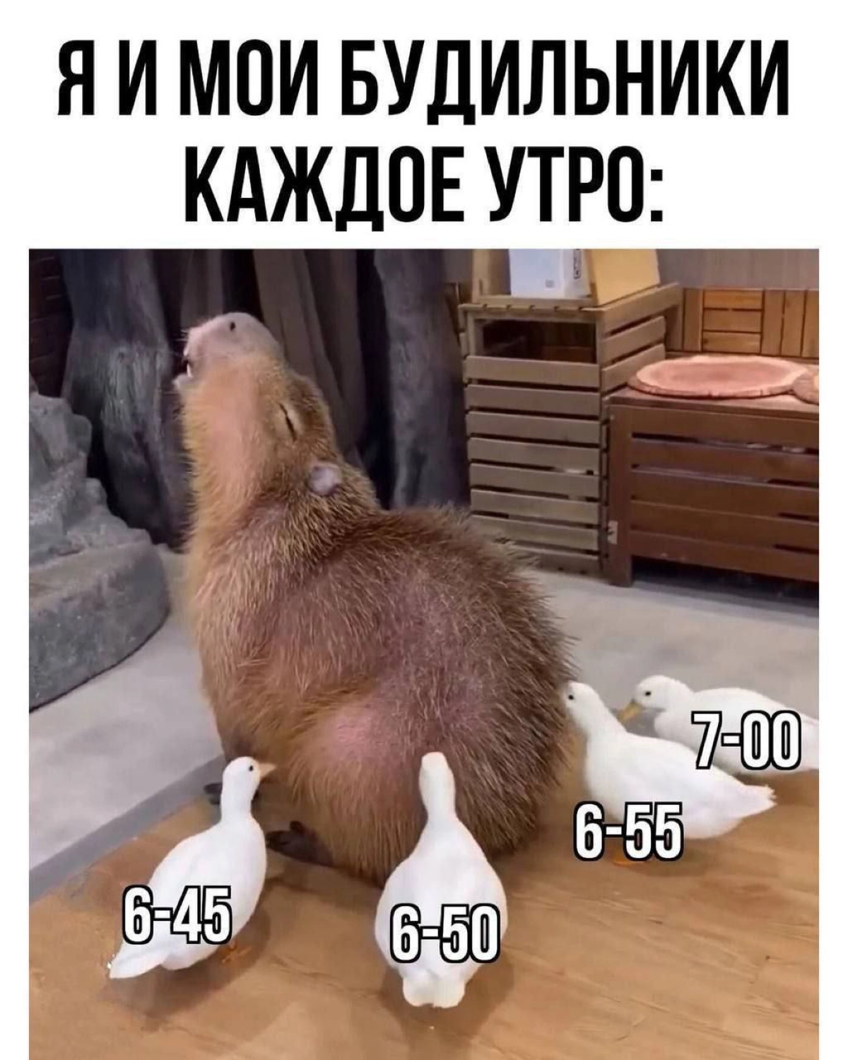 Особенно в понедельник | Сетка — новая социальная сеть от hh.ru