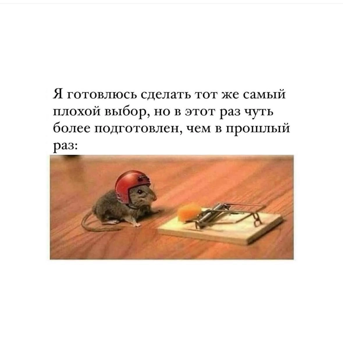 Хорошей рабочей недели, Сенсумчане 😉 | Сетка — новая социальная сеть от hh.ru