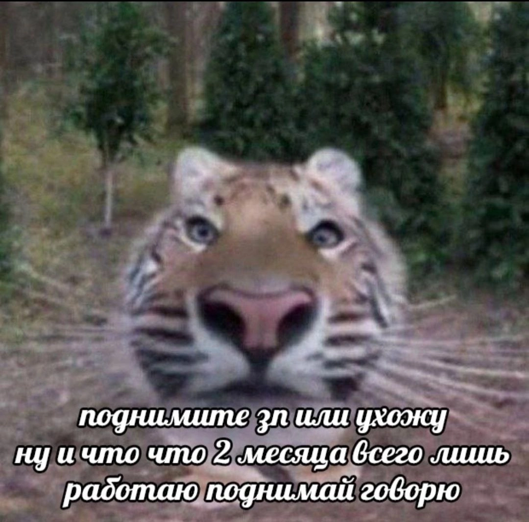 Почему долгосрочные цели ставить неэффективно
Размышляли мы тут с коллегой про бессмысленность вопросов типа "Как ты видишь себя через 5 лет"🤓
Часто говорят, что цели должны быть прописаны на годы (вп... | Сетка — новая социальная сеть от hh.ru
