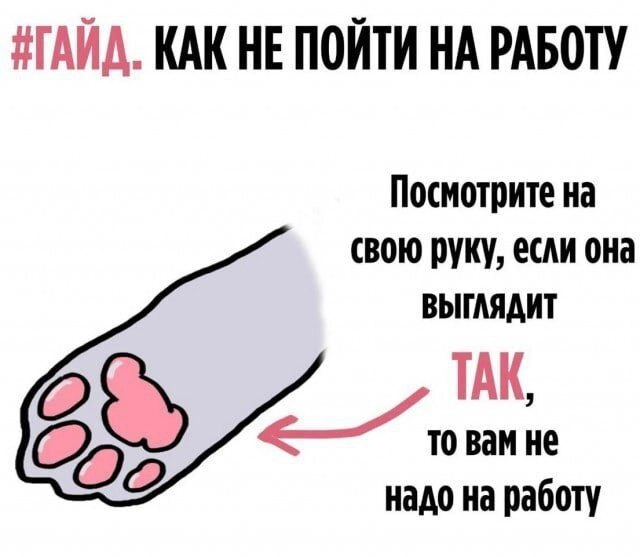 Надо идти 😿 | Сетка — новая социальная сеть от hh.ru