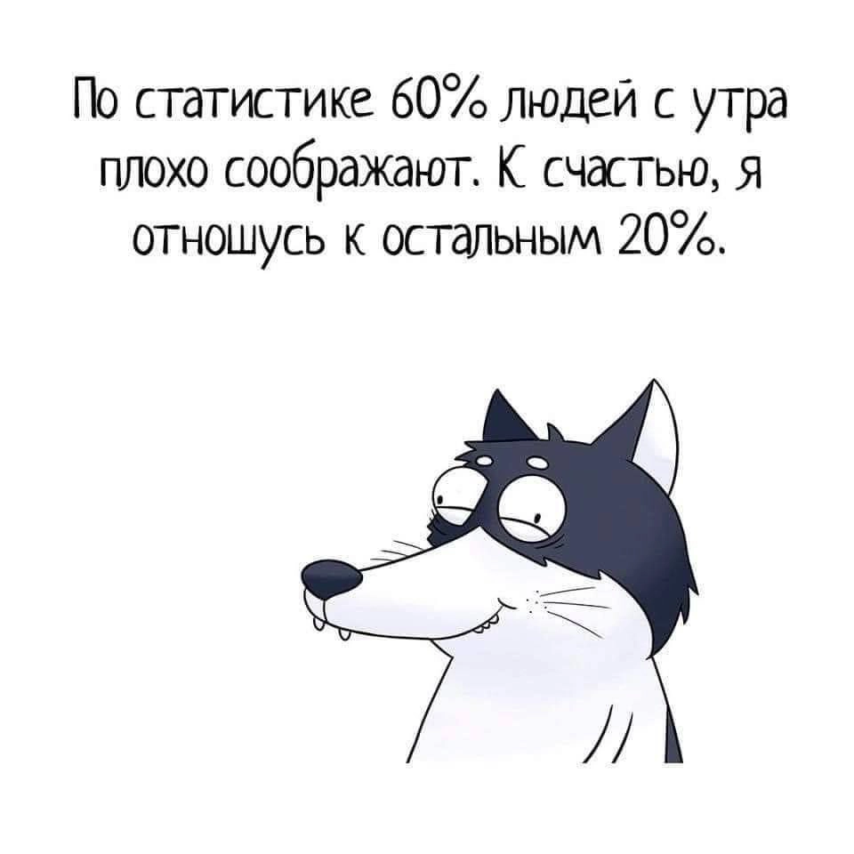 Сетка — новая социальная сеть от hh.ru