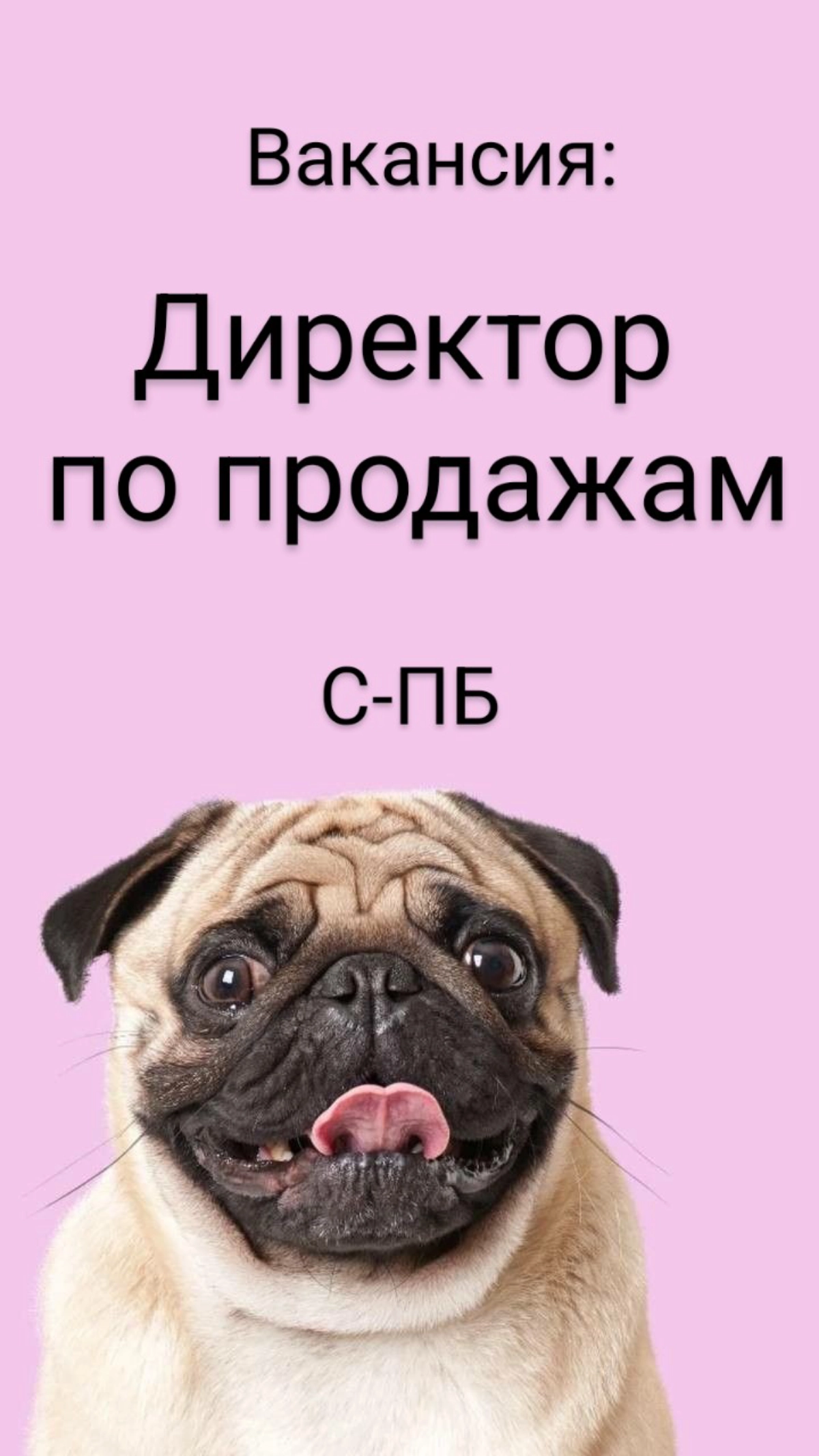 #ВАКАНСИЯ: Директор по продажам России
КОМПАНИЯ: в очень классную, международную компанию, лидер в своей отрасли
ЛОКАЦИЯ: Санкт-Петербург | Сетка — новая социальная сеть от hh.ru