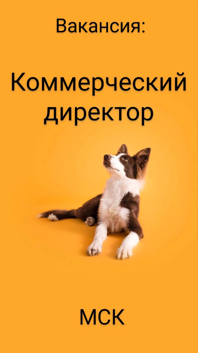 #ВАКАНСИЯ: Коммерческий директор (ДМС/юр | Сетка — новая социальная сеть от hh.ru