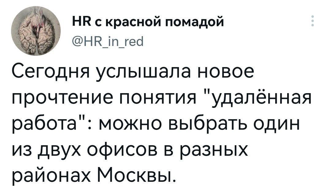 Сетка — новая социальная сеть от hh.ru