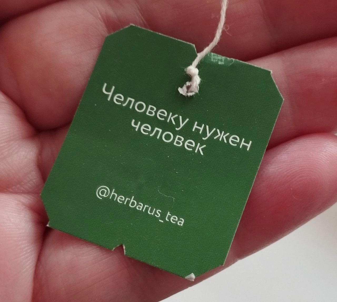 Я хотела написать пост о плохих людях, но спросила искусственный интеллект (deep seek) и он за минуту выдал вполне читаемый текст | Сетка — новая социальная сеть от hh.ru