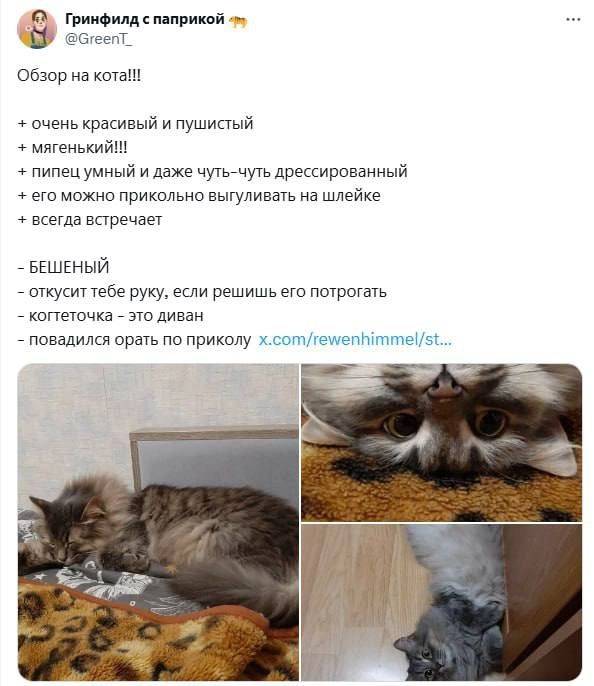 ⏱ Давно мы не поднимали вам настроение подборками угарных отзывов из сети.  
А ведь отдел ORM/SERM SMMagic всегда на передовой и муха не пролетит 🔫  
Приятного вечера 🥂
🐱 Ваша Я🔞Маркетинг без котиков | Сетка — новая социальная сеть от hh.ru