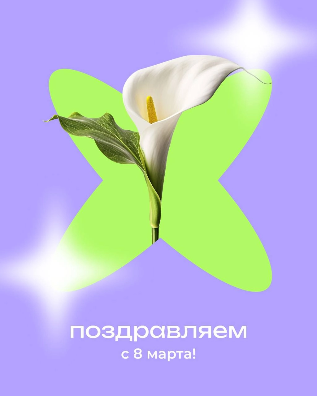 Дорогие девушки! 🌸
Поздравляем вас с 8 Марта — праздником, который олицетворяет весну, женственность и красоту
Пусть в вашей жизни всегда будет место для любви, радости и вдохновения
Желаем вам благоп... | Сетка — новая социальная сеть от hh.ru