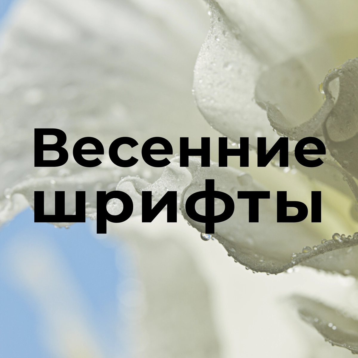 Весенние шрифты | Сетка — новая социальная сеть от hh.ru
