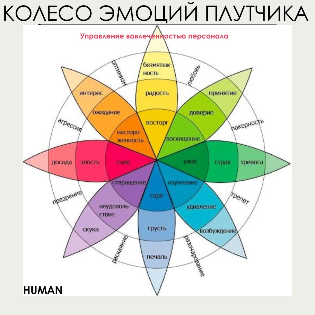 📊Колесо эмоций в HR: управляем вовлеченностью
💡Коллеги, как мы знаем, эмоции — наш скрытый рычаг управления вовлеченностью | Сетка — новая социальная сеть от hh.ru