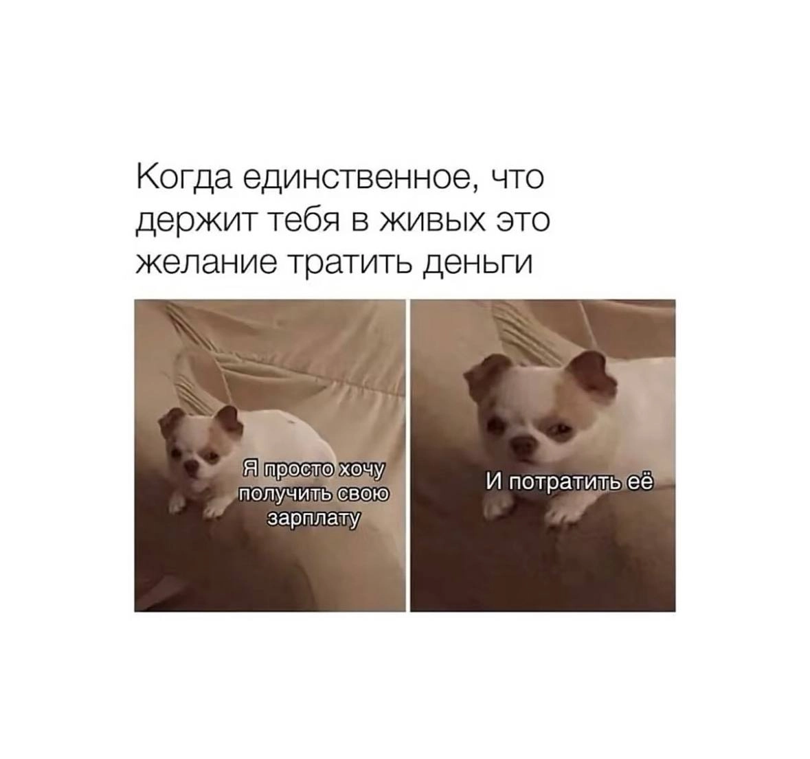 Поднимаем настроение! 
Ищите работу в Чебоксарах?
📞Узнать актуальные вакансии вы можете позвонив или написав по телефону:
8 (937) 370-78-06 | Сетка — новая социальная сеть от hh.ru