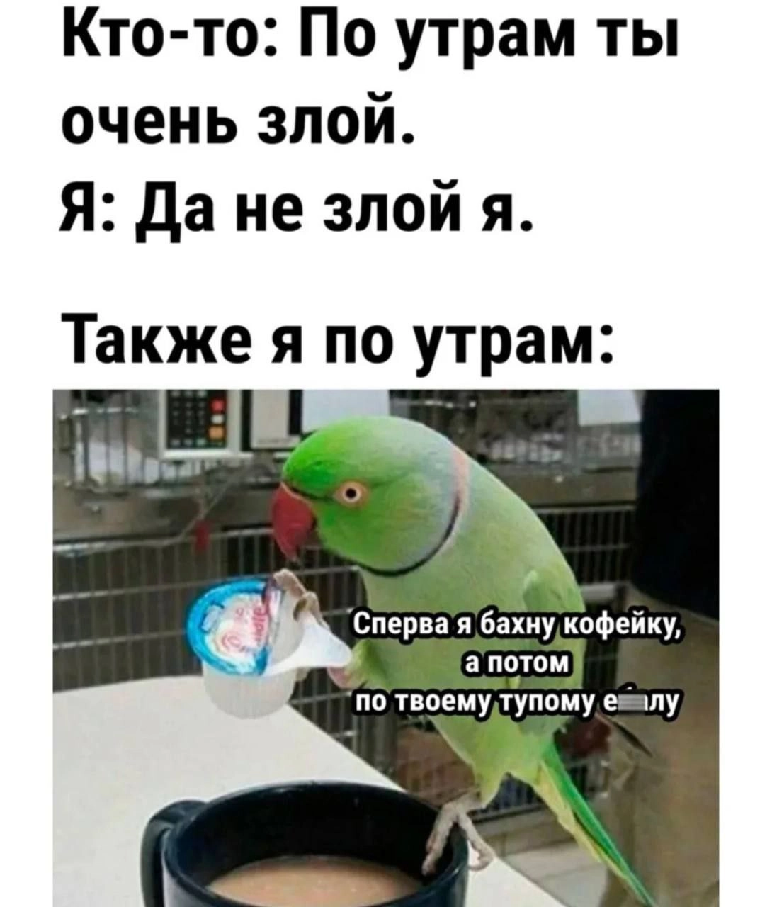 Особенно сложно держаться в середине недели ☕️ | Сетка — новая социальная сеть от hh.ru