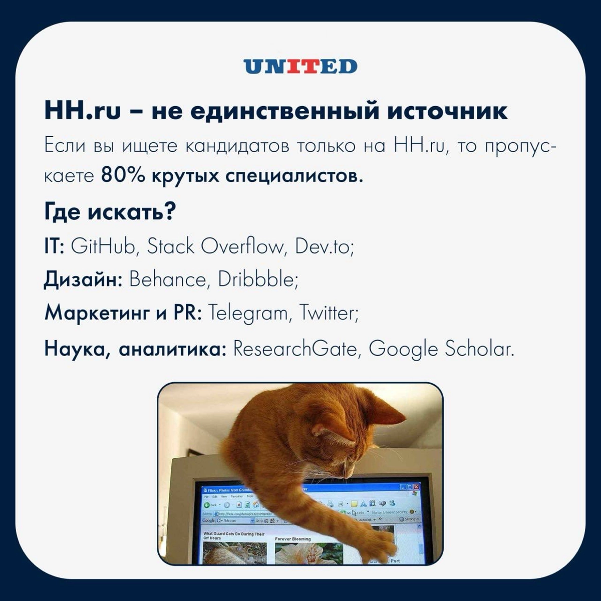 СОРСИНГ – НЕ МАГИЯ, А СИСТЕМА! | Сетка — социальная сеть от hh.ru