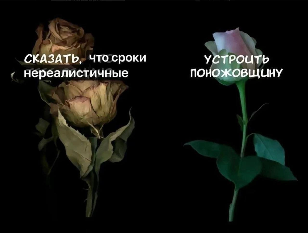 Вайб на середину недели примерно вот такой. В ближайшее время наверное слетаю куда-то сменить обстановку и передохнýть
А у вас как дела?
@maratyus | Сетка — новая социальная сеть от hh.ru