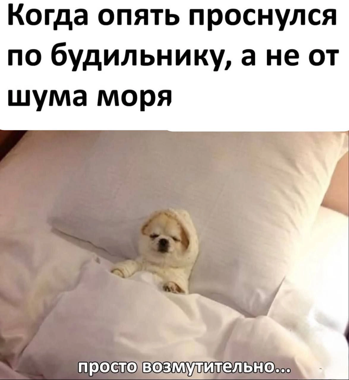Почему и за што 😴 | Сетка — новая социальная сеть от hh.ru