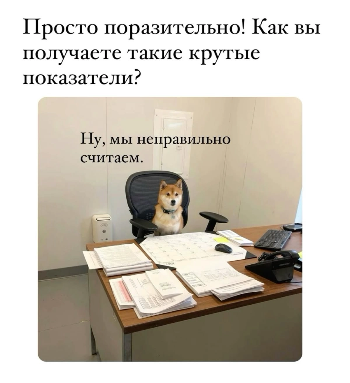 Ищу работу Key account manager СПб | Сетка — новая социальная сеть от hh.ru
