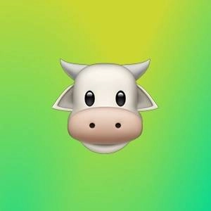 Наталья Романова | Сетка — социальная сеть от hh.ru