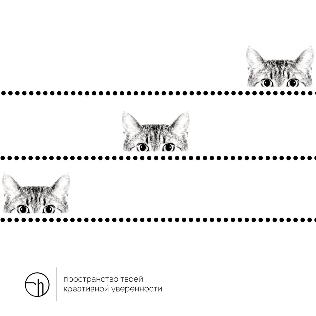 Если на вас смотрит котик, выглядывая из-за пунктирной линии, да ещё и не один, а целых три, то это пятница посылает вам намёки на то, что… Что же посылает вам пятница в пятницу с помощью выглядывающи... | Сетка — новая социальная сеть от hh.ru