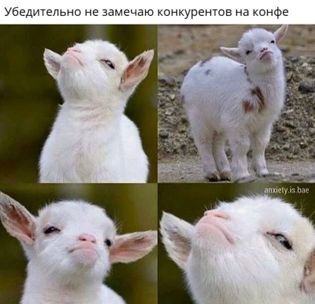 Опа мем | Сетка — новая социальная сеть от hh.ru