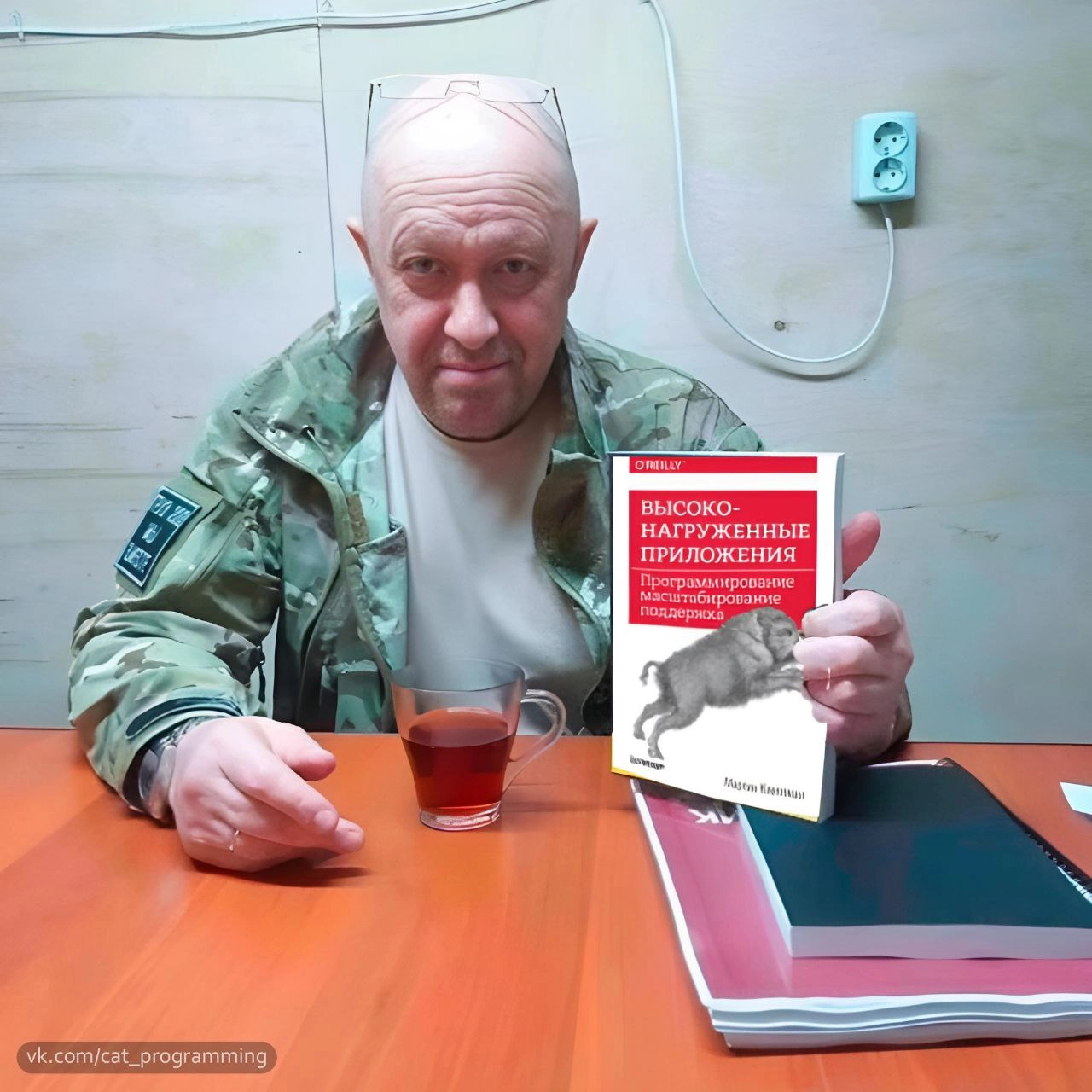Где подписать петицию, что бы разрабов на го переименовали с гошеров/гоферов в гоев? | Сетка — новая социальная сеть от hh.ru