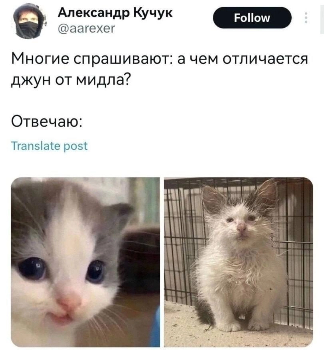 Сетка — новая социальная сеть от hh.ru