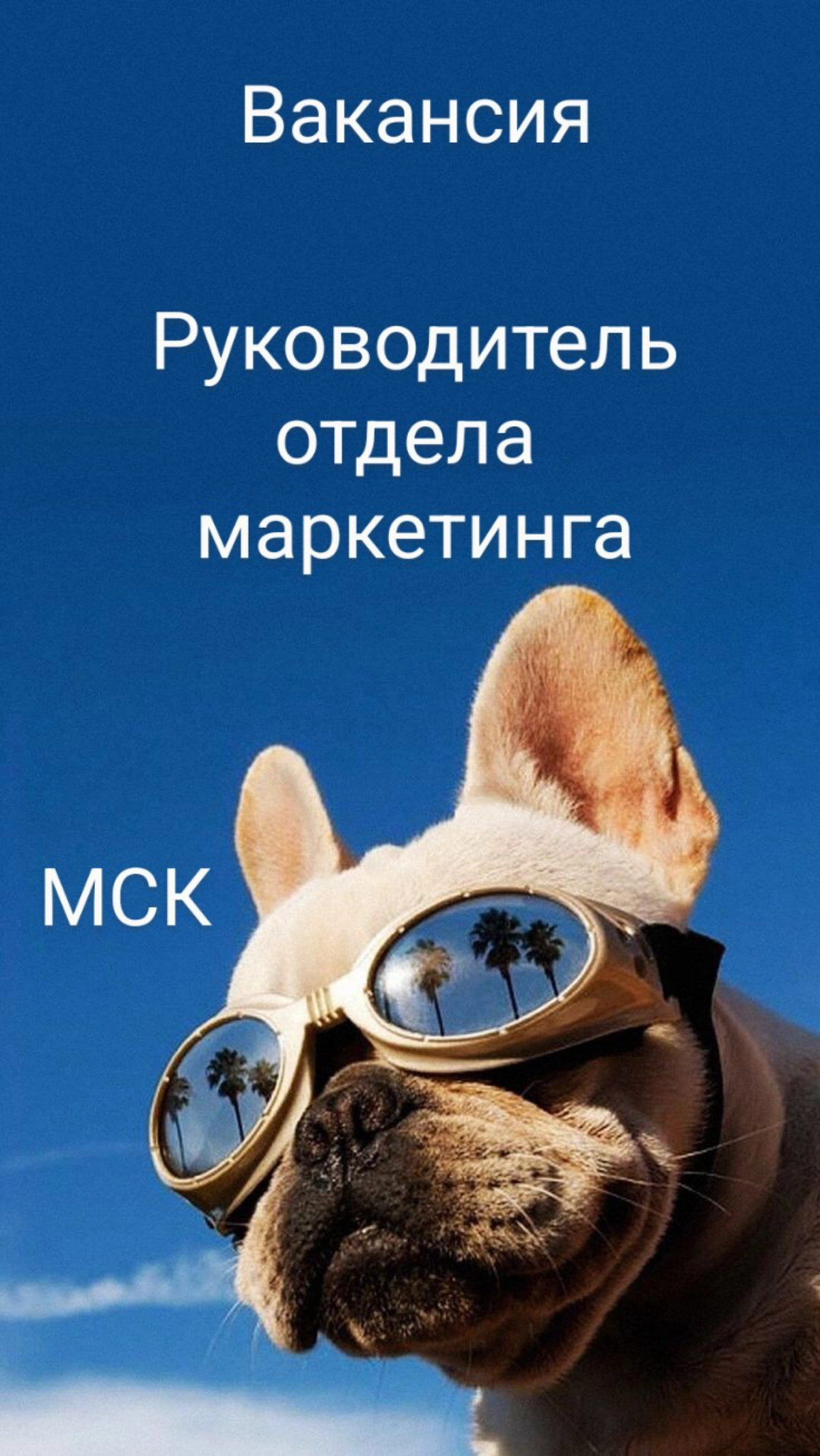 #вакансия #vacancy #руководитель #маркетинг #офис #Москва #fulltime #CMO
вакансия: Руководитель отдела маркетинга
зарплата:  до 400 т.р | Сетка — новая социальная сеть от hh.ru