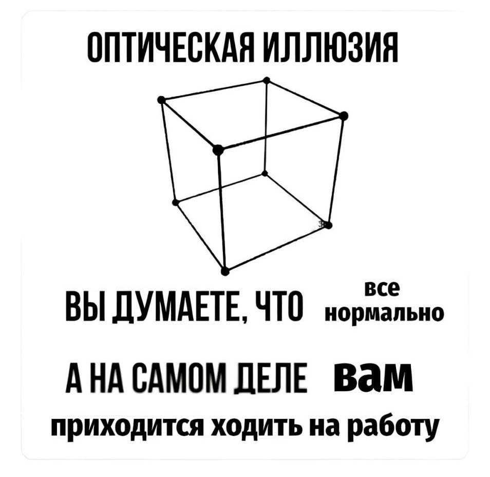 Ещё и минус за окном 🥲 | Сетка — новая социальная сеть от hh.ru