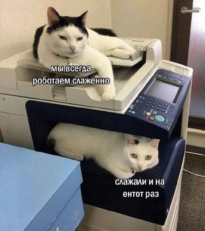 Встречаем середину недели 😬 | Сетка — новая социальная сеть от hh.ru