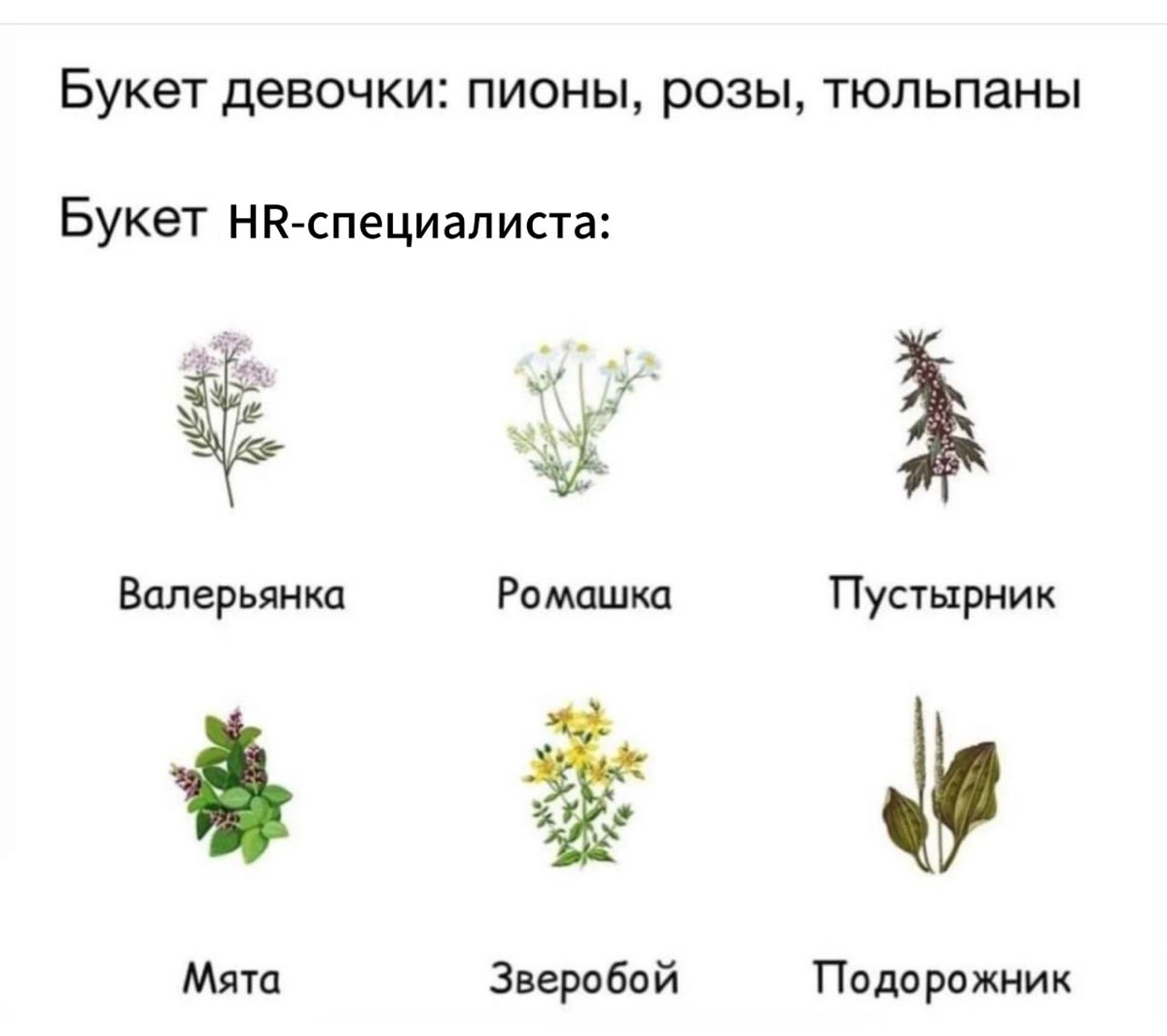 Сетка — новая социальная сеть от hh.ru