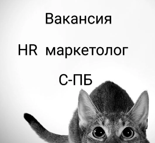#вакансия #офис #Спб #маркетолог #HR#бренд #развитиебренда #digital  
📍HR маркетолог (развитие внешнего HR бренда)  
📎Город: Санкт- Петербург
📎Компания: Монополия
📎Формат работы: full time, офис  
«Мо... | Сетка — новая социальная сеть от hh.ru