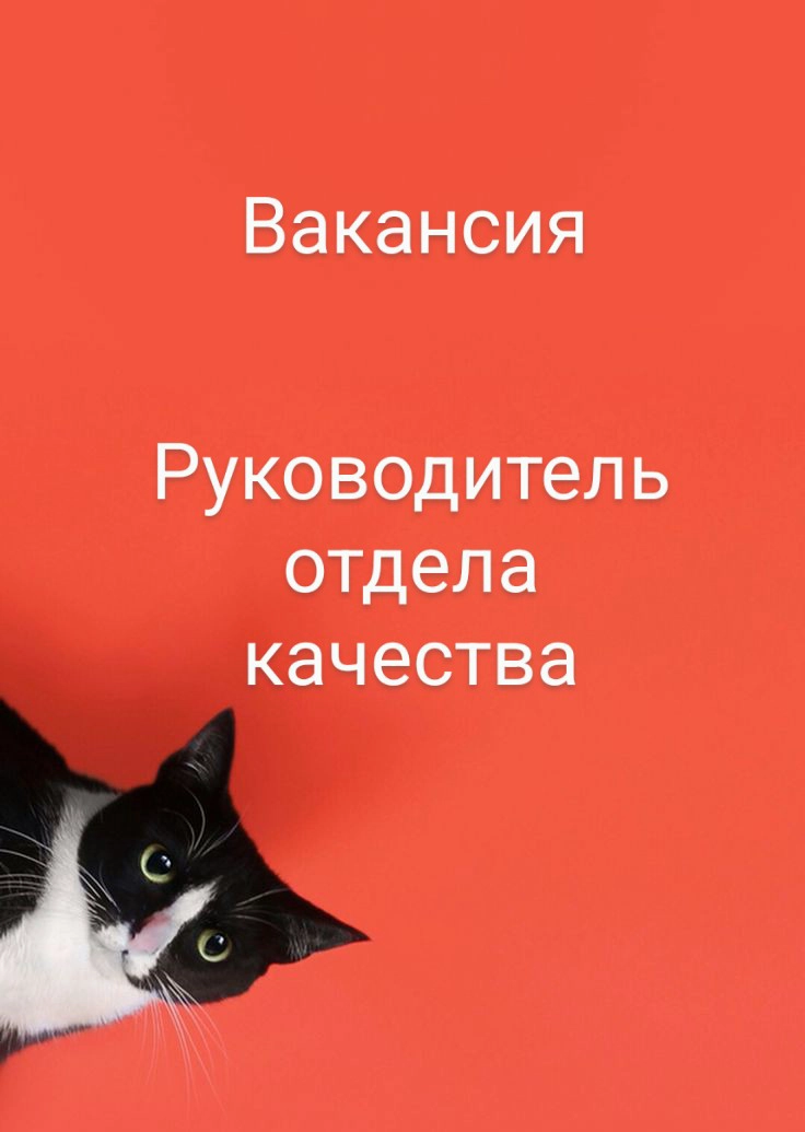 #ВАКАНСИЯ: Руководитель отдела качества (Quality Manager)
КОМПАНИЯ: для крупной промышленной компании (пищевая индустрия) | Сетка — новая социальная сеть от hh.ru
