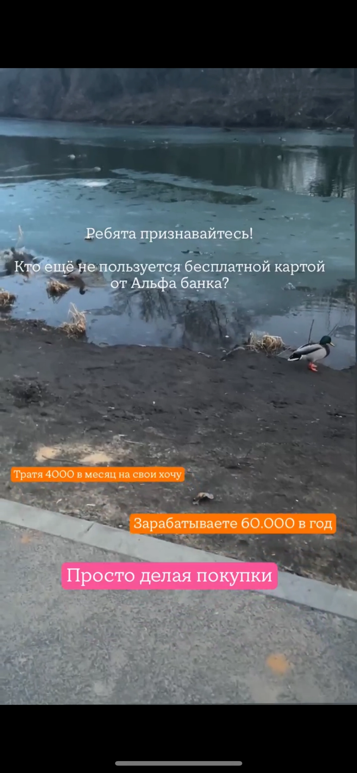 Заработать делая покупки? Это просто. 60.000 в год. | Сетка — новая социальная сеть от hh.ru
