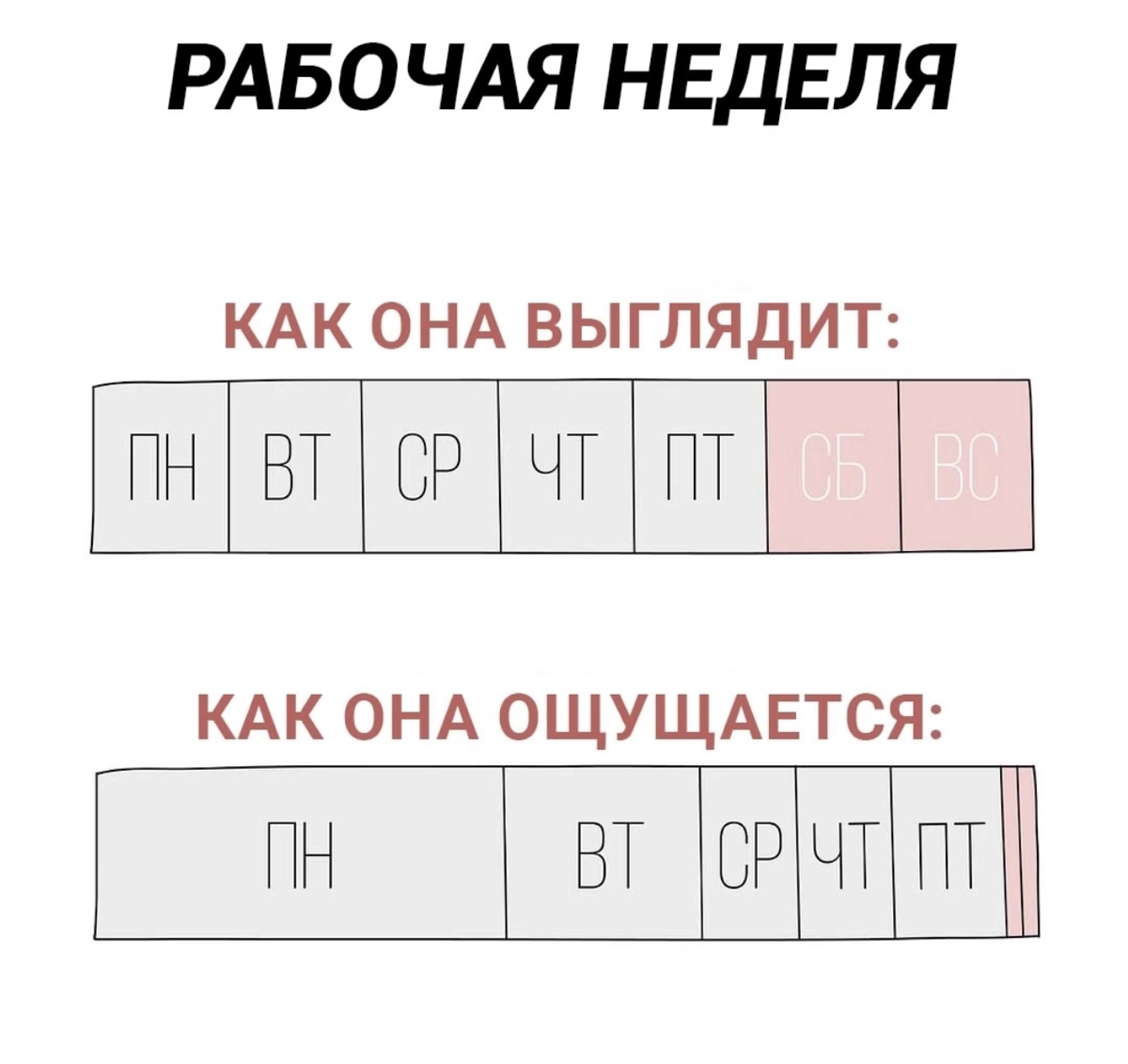 Сетка — новая социальная сеть от hh.ru