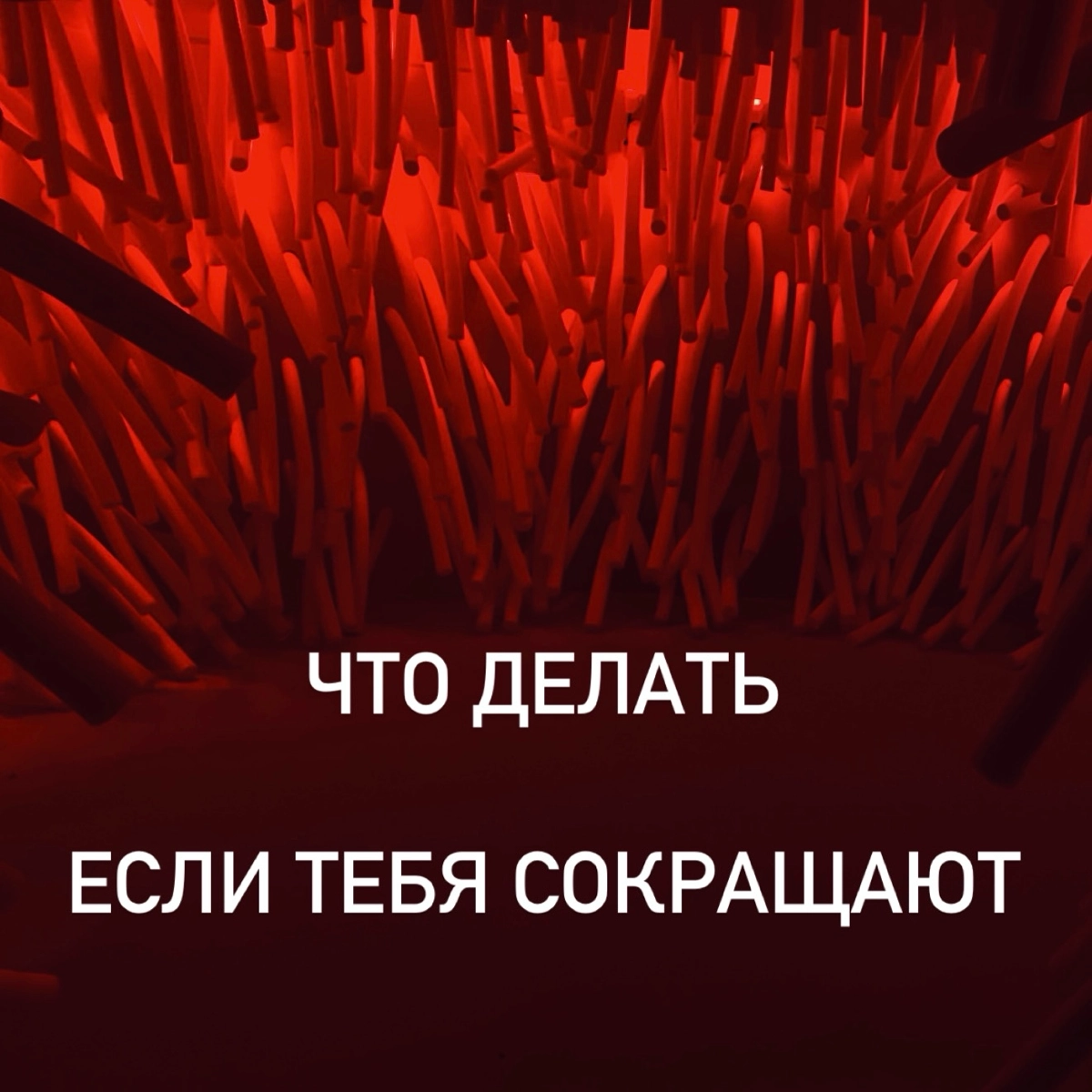 Что делать, если тебя сокращают | Сетка — новая социальная сеть от hh.ru